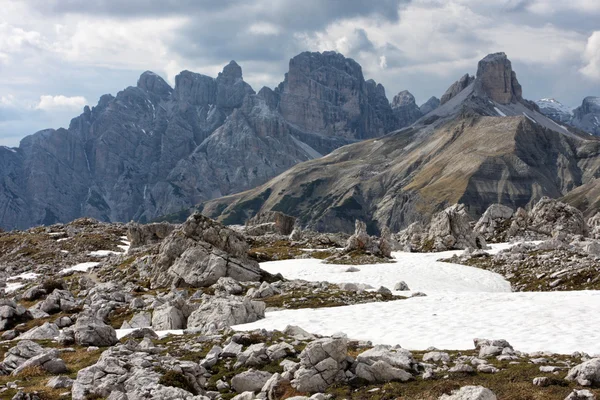 Sfondo di gamberetti fritti — Foto Stock