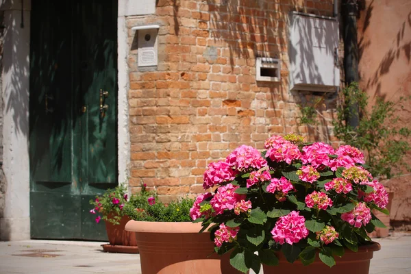 Venesia — Stock Photo, Image