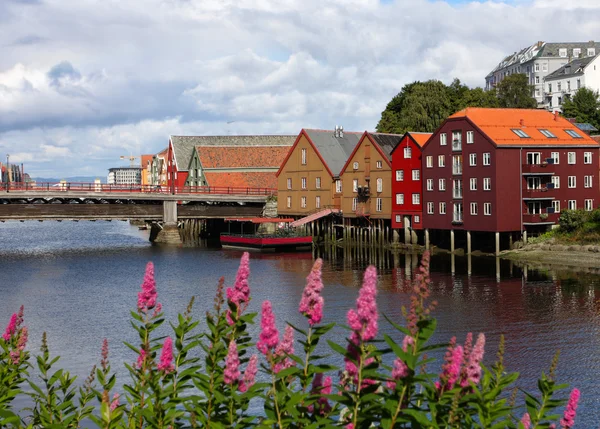 Trondheimer Gebäude — Stockfoto