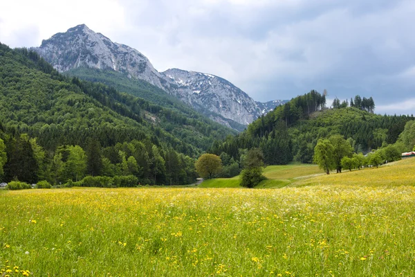 Dağlar — Stok fotoğraf