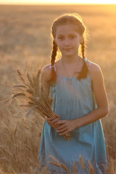 Dívka na obilné pole — Stock fotografie