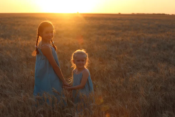 Ragazze su un campo di grano — Foto Stock