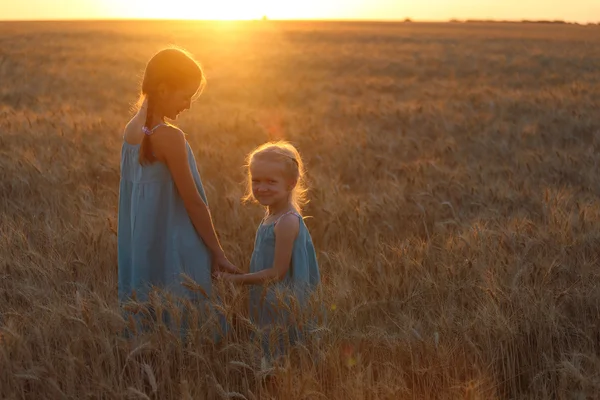 Девушки на пшеничном поле — стоковое фото