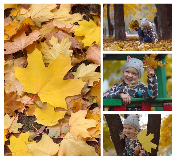 Otoño - collage —  Fotos de Stock