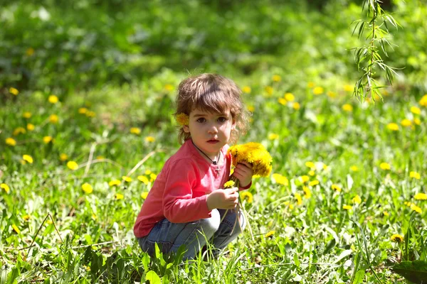 Meisje met paardebloemen — Stockfoto