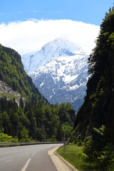 Straße — Stockfoto