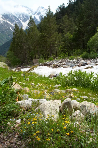 Ampia valle — Foto Stock