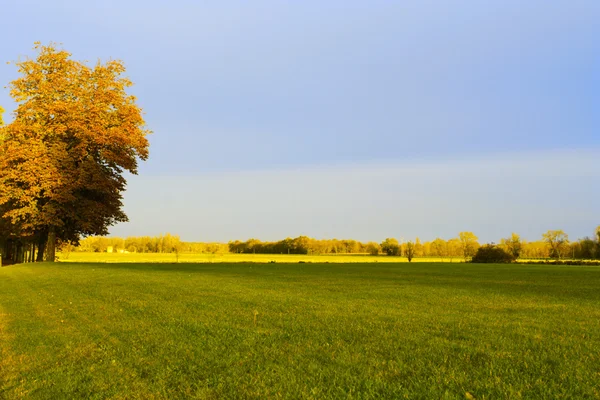 Green field at autumn overcast day — Stock Photo, Image