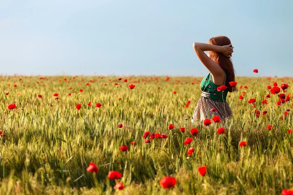 Campo papaveri — Foto Stock