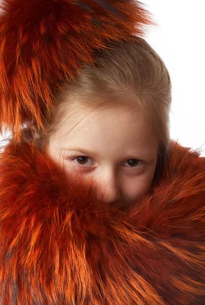 Red fur — Stock Photo, Image