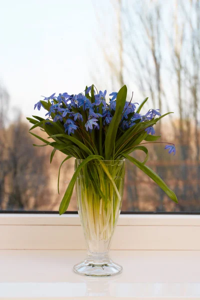 Flowers on a window-sill — Stock Photo, Image