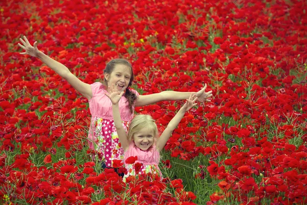 Poppies alan — Stok fotoğraf