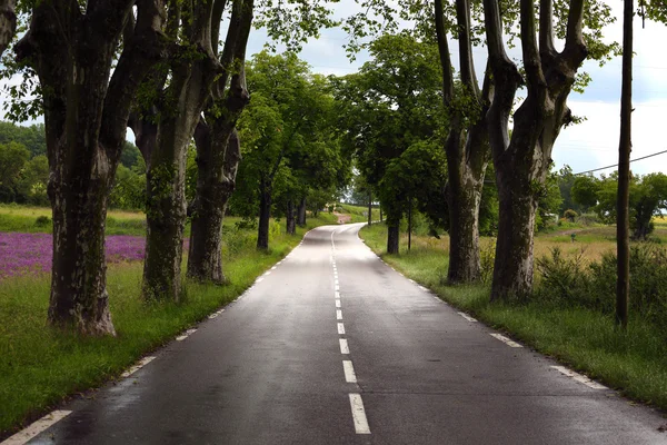 Road — Stock Photo, Image