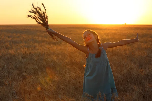 Field — Stock Photo, Image