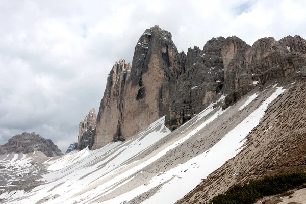 Sfondo di gamberetti fritti — Foto Stock