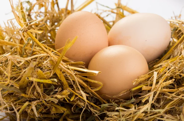 Eggs on a straw — Stock Photo, Image