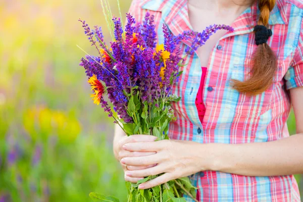 Chica sostiene Salvia — Foto de Stock