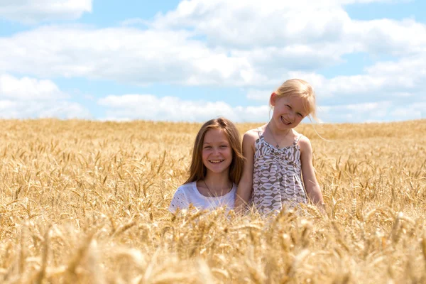 Юные девушки веселятся на пшеничном поле — стоковое фото