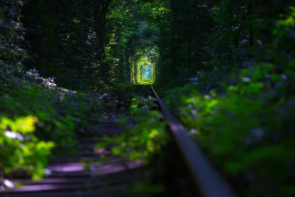 Tunnel dell'amore — Foto Stock