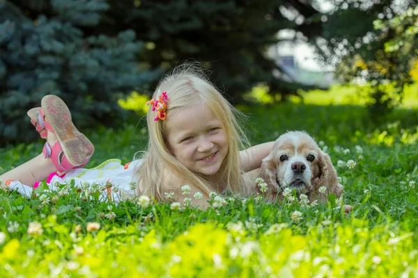 Hund — Stockfoto