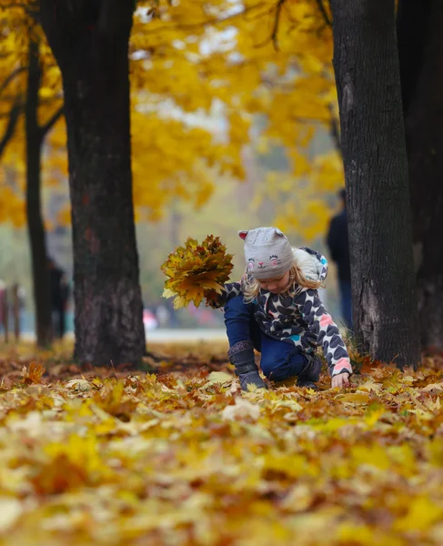 Herbst in der Stadt — Stockfoto