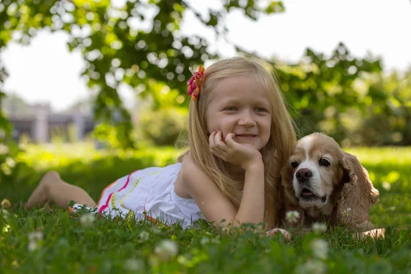 Hond — Stockfoto