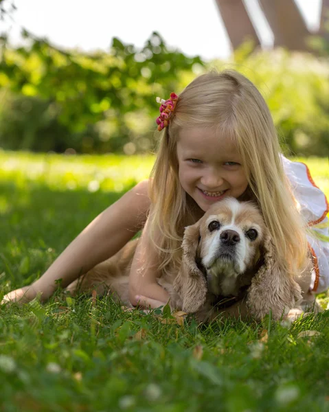 Hund — Stockfoto