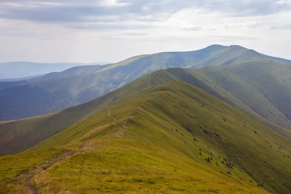 Карпати — стокове фото