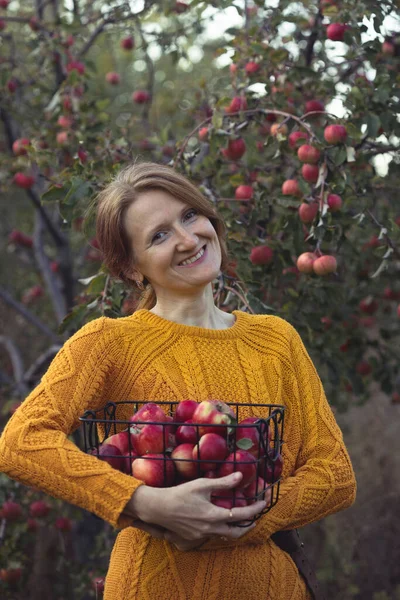 快乐的女孩在花园里拿着装有多汁苹果的篮子 乡村生活的美学 — 图库照片