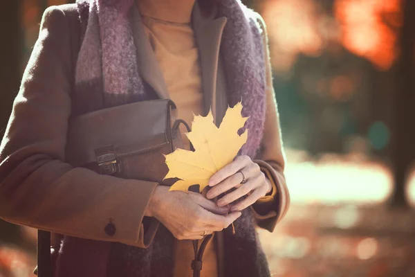Autumn City Girl Holding Yellow Leaf Her Hand Accessories Part — Stock Photo, Image