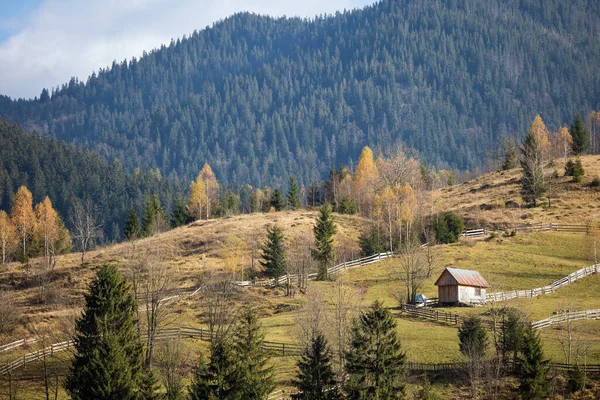 Hermosas Montañas Paisaje Ucraniano Pasto Antigua Casa Madera Sobre Fondo — Foto de Stock