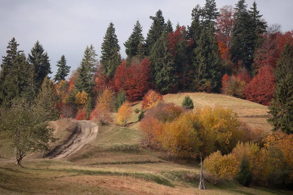 Beautiful Autumn Mountains Landscape Carpathians Ukraine — Stock Photo, Image