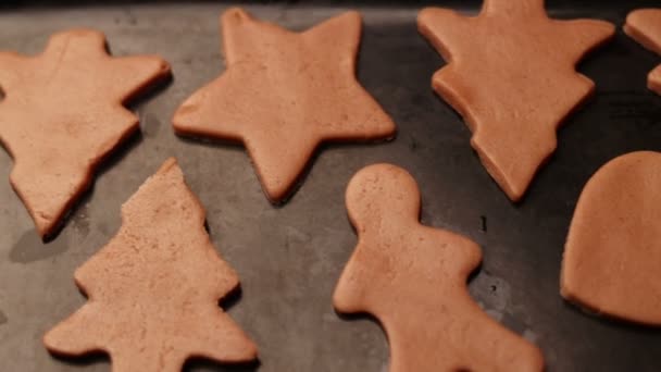 Handen Van Meisje Bakken Kerst Peperkoek Koekjes Details Van Kerstvoorbereidingen — Stockvideo