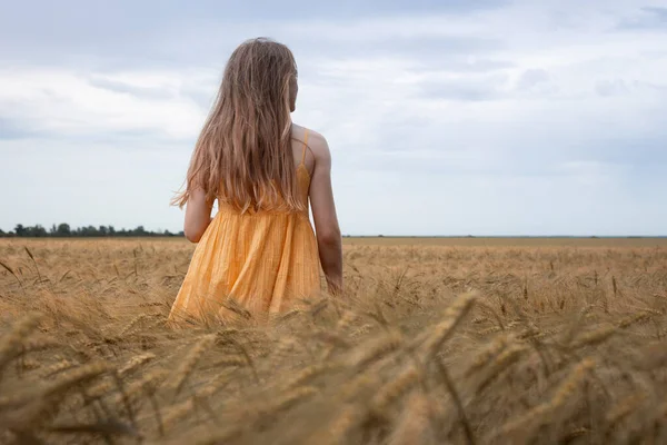 Happy Young Girl Joys Wheat Field Evening Tim — Stock Photo, Image