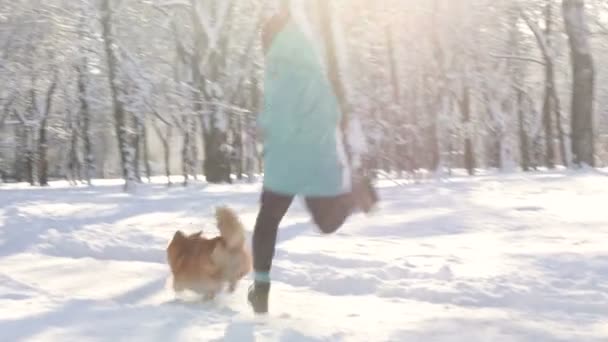 Fille Joue Avec Chien Corgi Pendant Marche Hiver — Video