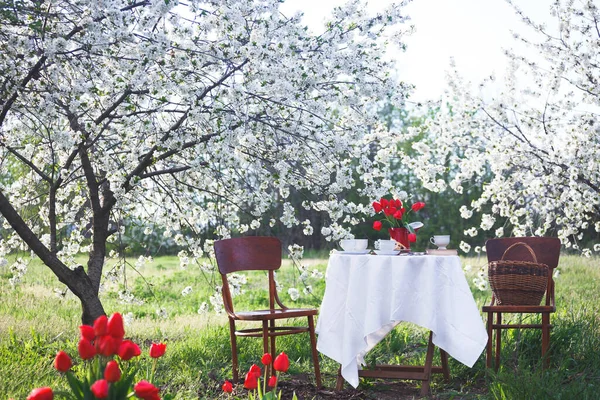 Vida Aço Café Manhã Jardim Primavera Mesa Com Toalha Mesa — Fotografia de Stock