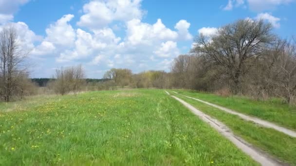 노란색 잔디와 도로에서 피어나는 — 비디오