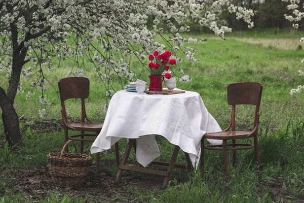 Vie Acier Petit Déjeuner Dans Jardin Printemps Table Avec Nappe — Photo