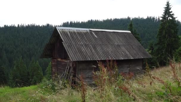 Mały Domek Górski Pobliżu Lasu Karpatach Ukraina — Wideo stockowe