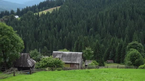 Mały Domek Górski Pobliżu Lasu Karpatach Ukraina — Wideo stockowe