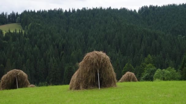 Mountain Landscape Haystacks Mountain Hill — Vídeos de Stock