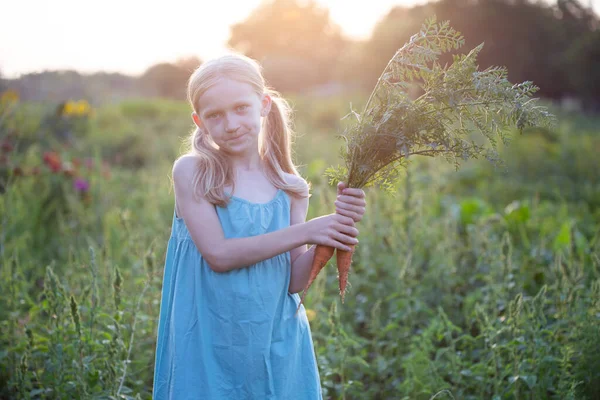 Happy Fun Girl Garden Holding Carro — стоковое фото