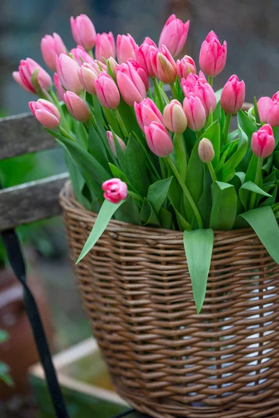 篮子与粉红色的郁金香 荷兰著名的象征 安斯特达 — 图库照片