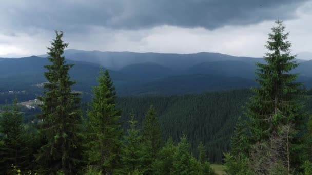 Панорамный Вид Облачный Горный Ландшафт Сосновым Лесом Дымчатыми Холмами — стоковое видео