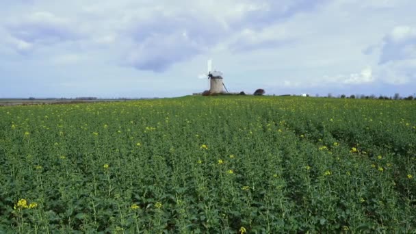 Velho Moinho Vento Tradicional Normandiano Campo Normandia França — Vídeo de Stock