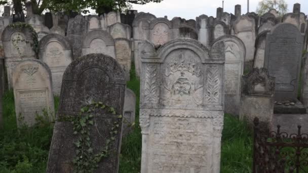 Chernivtsi Ukraine April 2022 View Tombstones Old Jewish Semetery — 图库视频影像