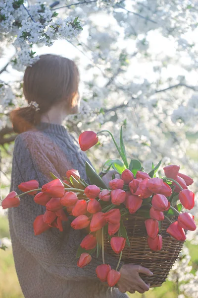 Girl Huge Bouquet Red Tulip — Stock Photo, Image