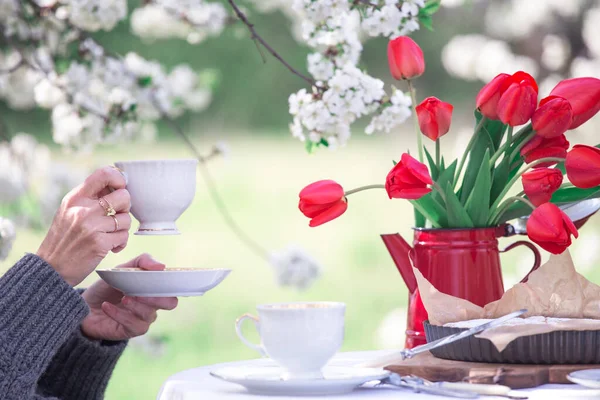 Steel Life Breakfast Spring Garden Table White Tablecloth Served Tea — Photo