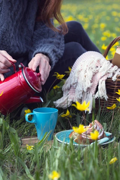 Fille Verse Thé Dans Une Tasse Pique Nique Printemps Dans — Photo