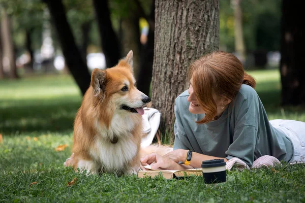 女の子は犬のコーギーと一緒に本を読んで — ストック写真